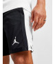 Jordan Sport Mesh Men's Shorts